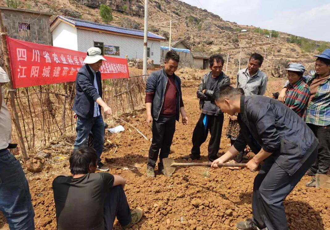 QQ截图20200417142143.jpg